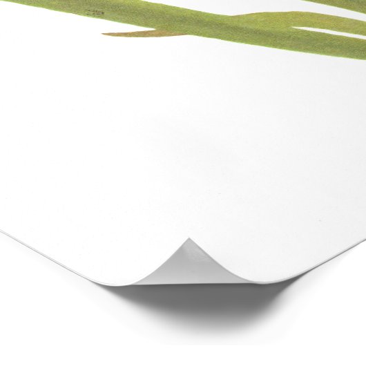 Carnivoren Plant - Sarracenia rubra Poster (Hoek)