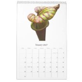 Carnivoren Planten Kalender (Jan 2027)