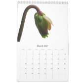 Carnivoren Planten Kalender (Mar 2027)