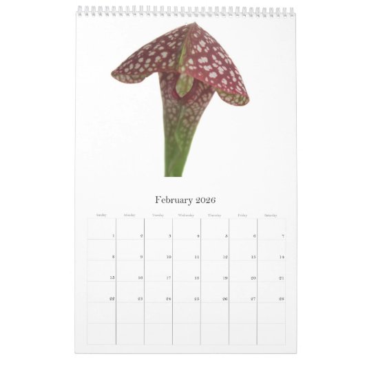 Carnivoren Planten Kalender (Feb 2026)
