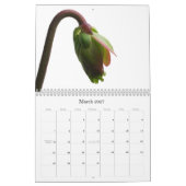 Carnivoren Planten Kalender (Mar 2027)