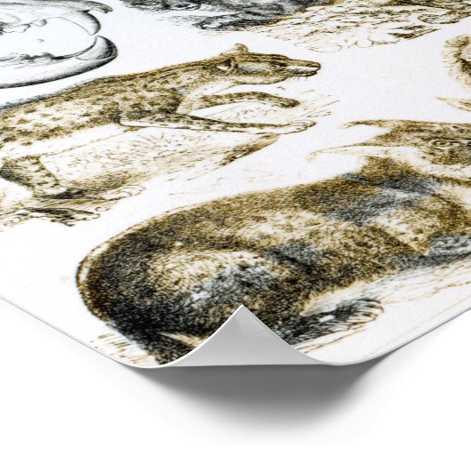 carnivoren poster (Hoek)