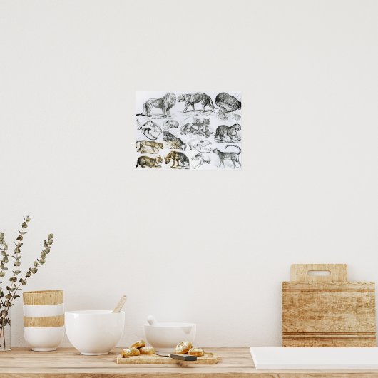 carnivoren poster (Keuken)