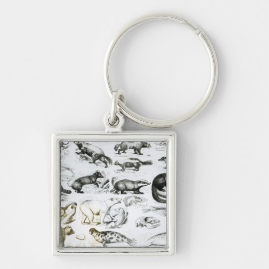 carnivoren sleutelhanger (Voorkant)