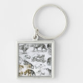 carnivoren sleutelhanger (Voorkant)