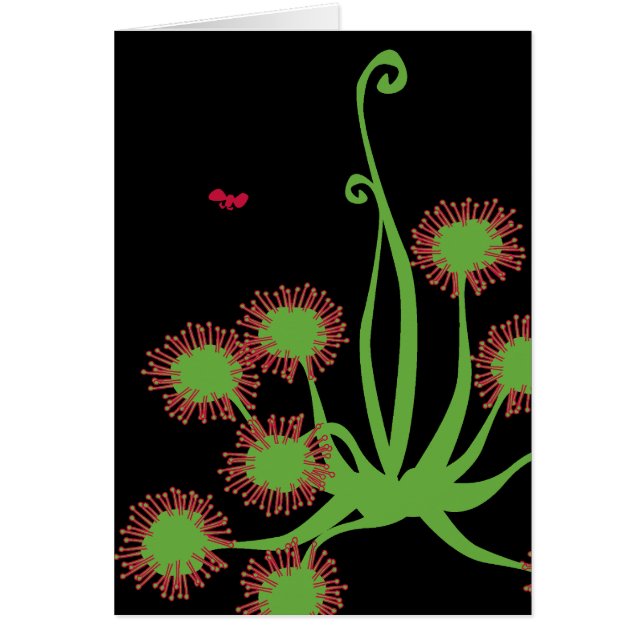 Carnivoren Sundew Plant (Voorkant)