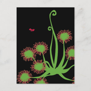 Carnivoren Sundew Plant Briefkaart