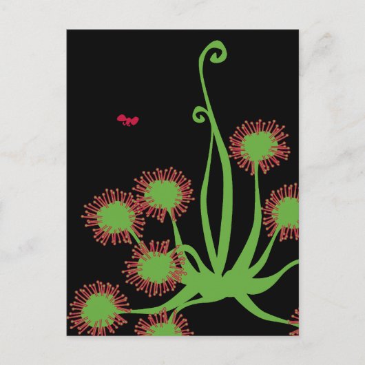 Carnivoren Sundew Plant Briefkaart (Voorkant)