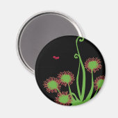 Carnivoren Sundew Plant Magneet (Voorkant / Achterkant)