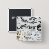 carnivoren vierkante button 5,1 cm (Voorkant /achterkant)