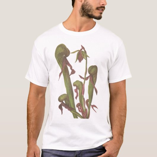 Carnivorous Plant - Darlingtonia californica T-shirt (Voorkant)