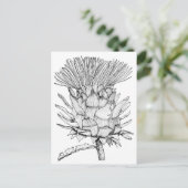 Caro de cardoon briefkaart (Staand voorkant)