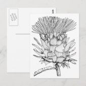 Caro de cardoon briefkaart (Voorkant / Achterkant)