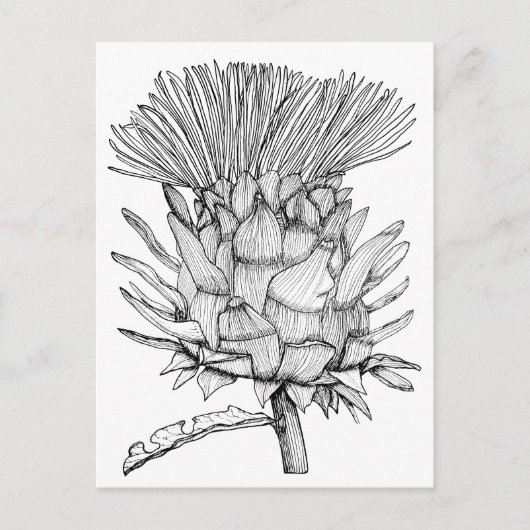 Caro de cardoon briefkaart (Voorkant)