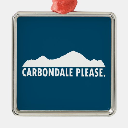 Carobligale alsjeblieft metalen ornament (Voorkant)