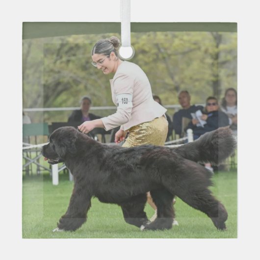 Carol B Newf Puppy Christmas Glass Ornament (Voorkant)