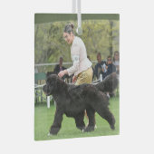 Carol B Newf Puppy Christmas Glass Ornament (Voorkant Rechts)