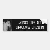 Carol Lake Studios Bumpersticker (Voorkant)