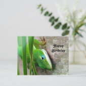 Carolina Anole Groene Hagedis Foto Verjaardag Briefkaart (Staand voorkant)