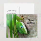 Carolina Anole Groene Hagedis Foto Verjaardag Briefkaart (Voorkant / Achterkant)