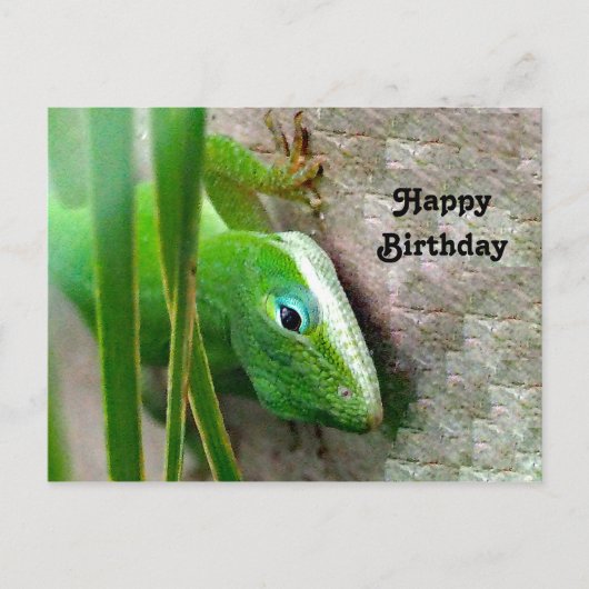 Carolina Anole Groene Hagedis Foto Verjaardag Briefkaart (Voorkant)