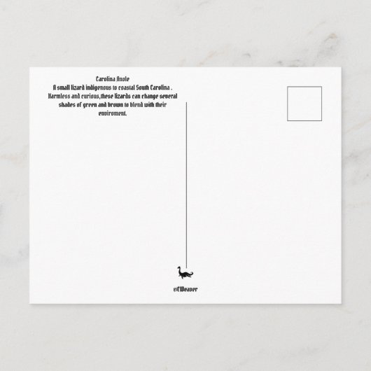 Carolina Anole Hilton Head Briefkaart (Achterkant)