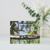 Carolina Anole Hilton Head Briefkaart (Staand voorkant)