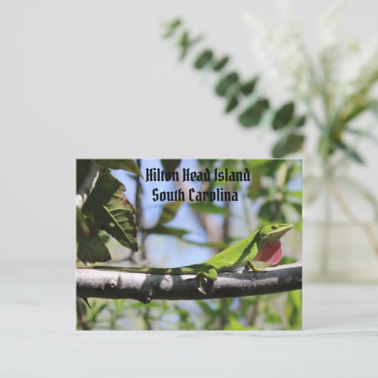 Carolina Anole Hilton Head Briefkaart (Staand voorkant)