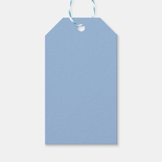 Carolina Blau Effen Kleur Cadeaulabel (Voorkant)