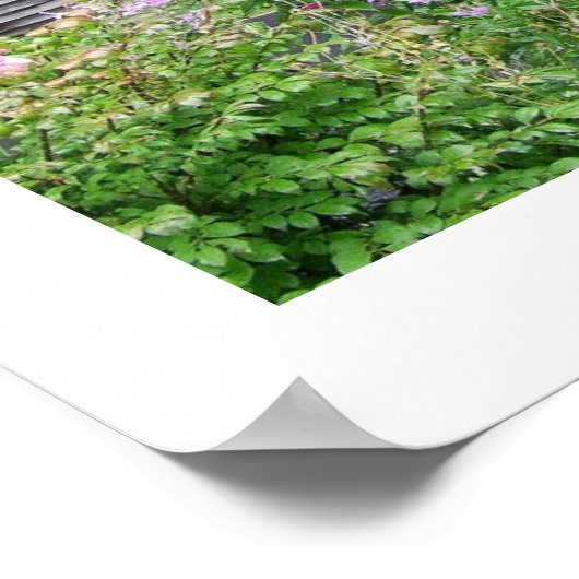 Carolina Cabin Poster (Hoek)