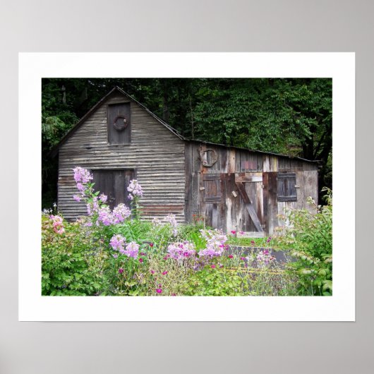 Carolina Cabin Poster (Voorkant)