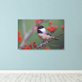 Carolina Chickadee Canvas Afdruk (Insitu (Houten vloer))