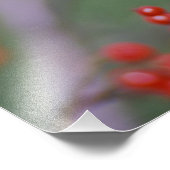 Carolina Chickadee Foto Afdruk (Hoek)