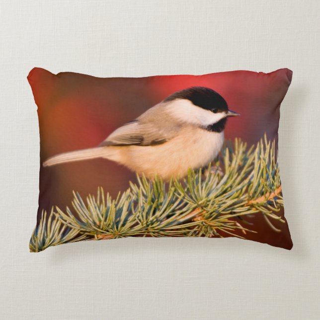 Carolina Chickadee in Blauwe Atlasceder Accent Kussen (Voorkant)