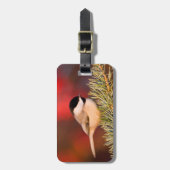 Carolina Chickadee in Blauwe Atlasceder Bagagelabel (Voorkant verticaal)