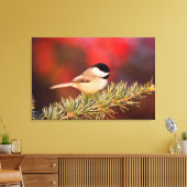 Carolina Chickadee in Blue Atlas Cedar Canvas Afdruk (Insitu (Woonkamer))
