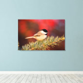 Carolina Chickadee in Blue Atlas Cedar Canvas Afdruk (Insitu (Houten vloer))
