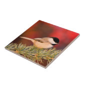 Carolina Chickadee in Blue Atlas Cedar Tegeltje (Zijkant)