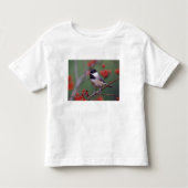 Carolina Chickadee Kinder Shirts (Voorkant)