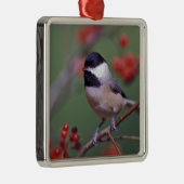 Carolina Chickadee Metalen Ornament (Rechts)