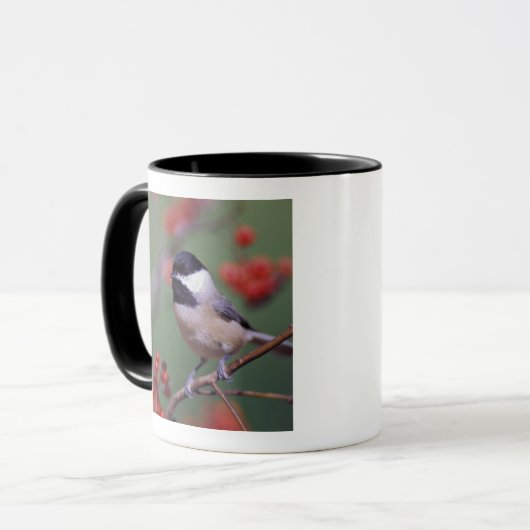 Carolina Chickadee Mok (Voorkant links)