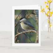 Carolina Chickadee Note Card Kaart (Gele Bloem)