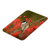 Carolina Chickadee over Common Winterberry struik Magneet (Linkerzijde)