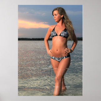 Carolina Coastal Beauties: 2013 Agenda Poster E