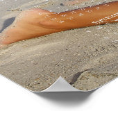 Carolina Coastal Beauties: Poster 2013 kalender CP (Hoek)