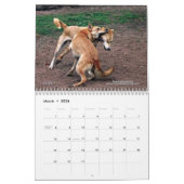 Carolina Dog Agenda 2013 Kalender (Mar 2026)
