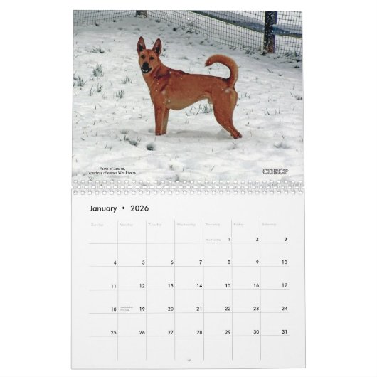 Carolina Dog Agenda 2013 Kalender (Jan 2026)