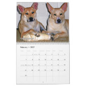 Carolina Dog Agenda 2013 Kalender (Feb 2027)