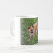 carolina dog full 2.png koffiemok (Voorkant links)
