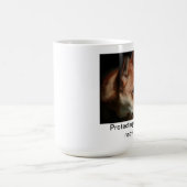 Carolina Dog Mok (Center)